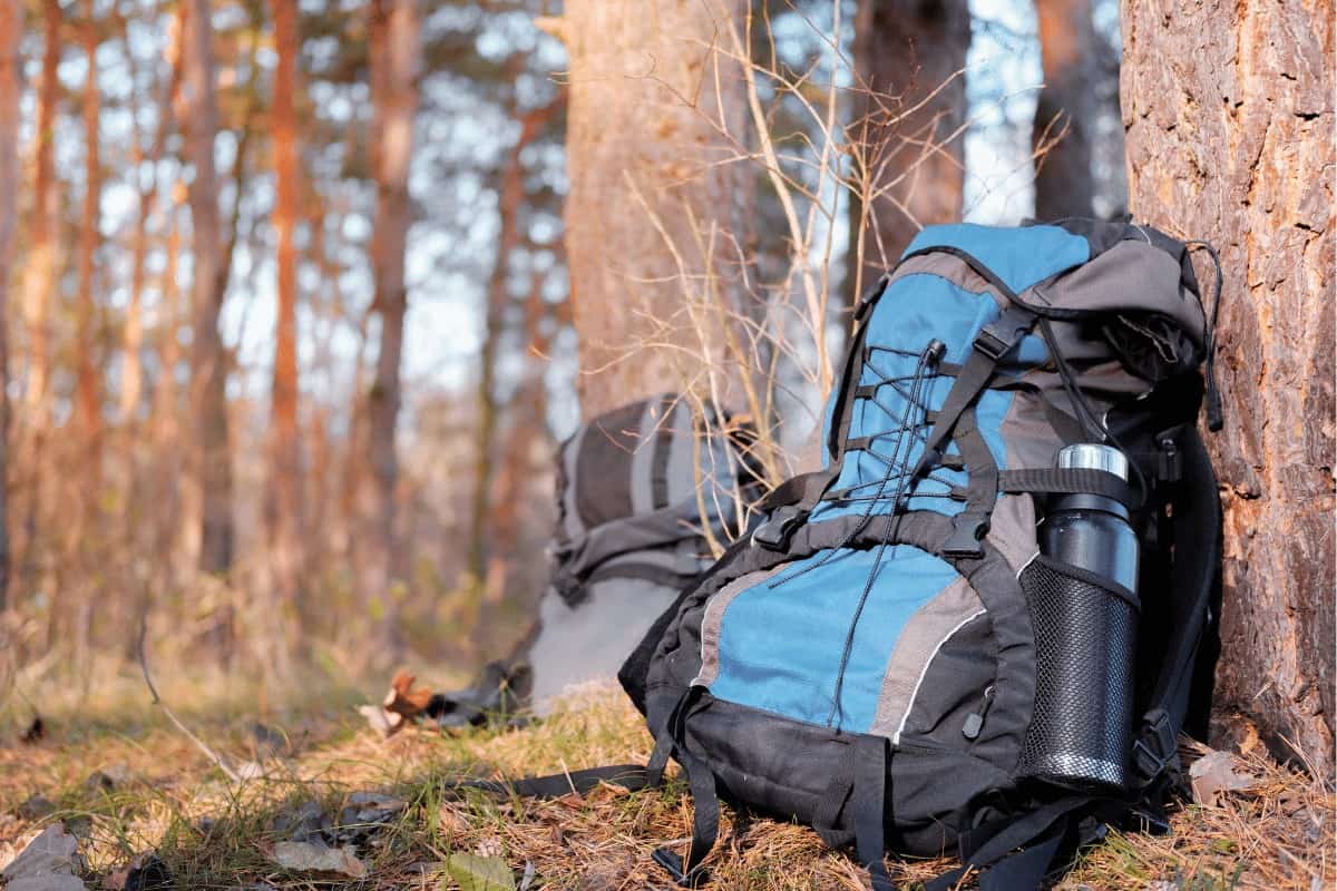 Hiking Backpack vs Regular Backpack (Is There a Difference)