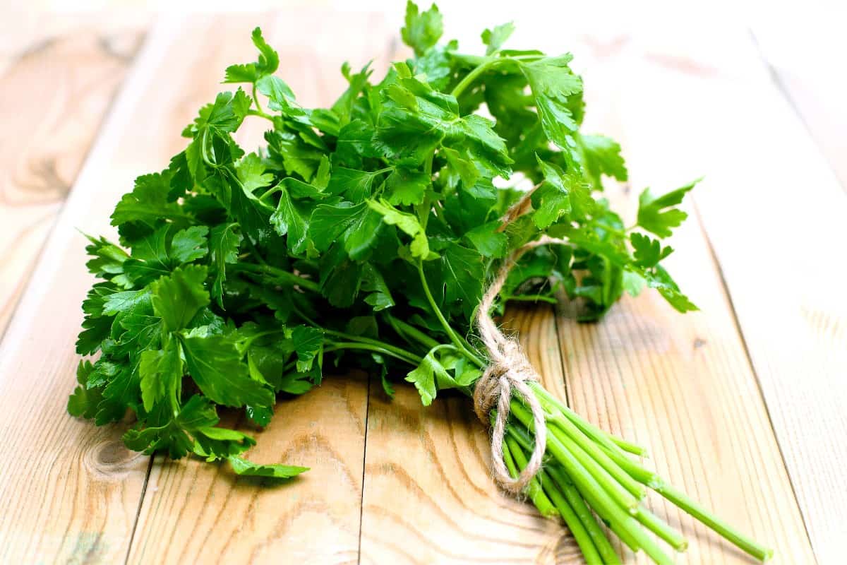 Bunch of Parsley