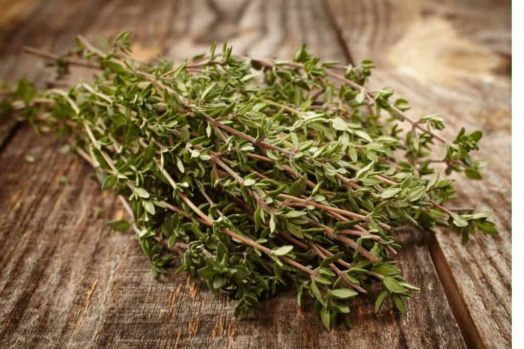 Thyme Herb