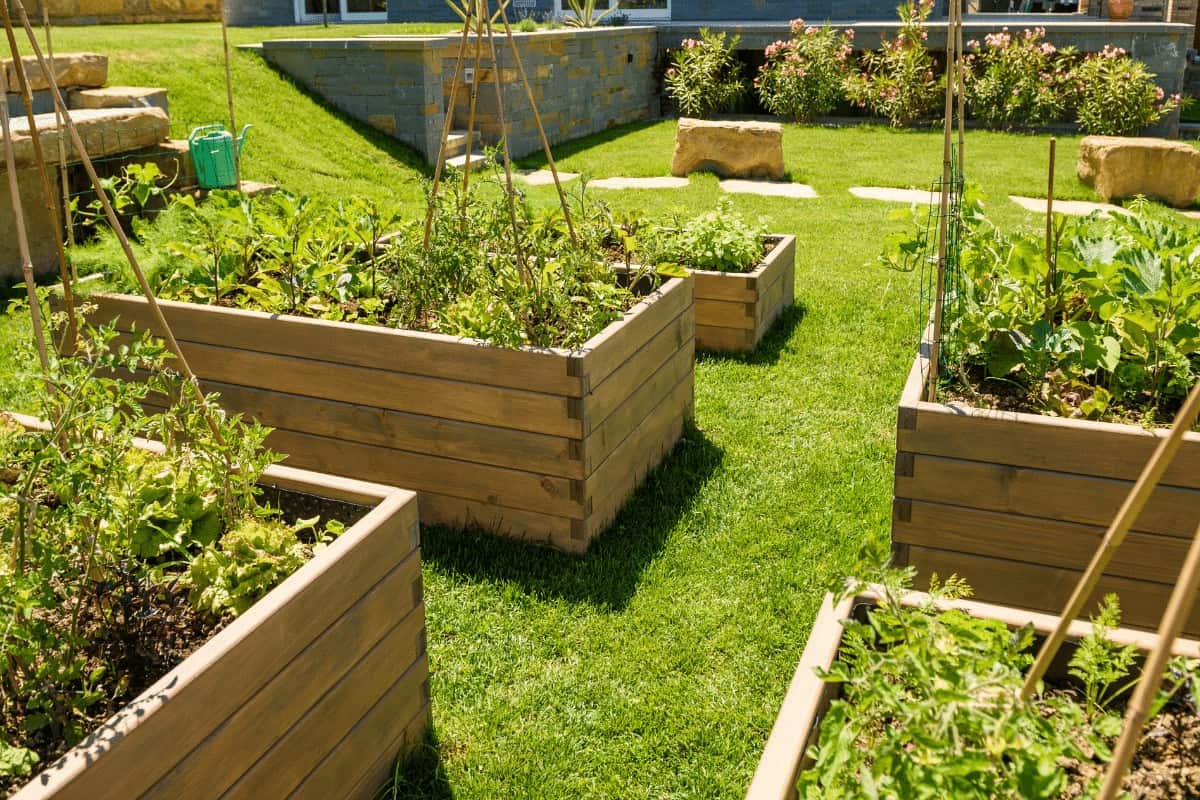 Raised Beds