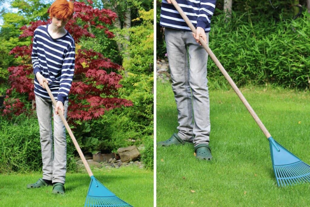 Raking the Grass