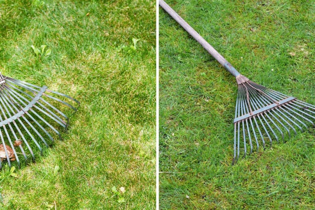 Raking the Grass 