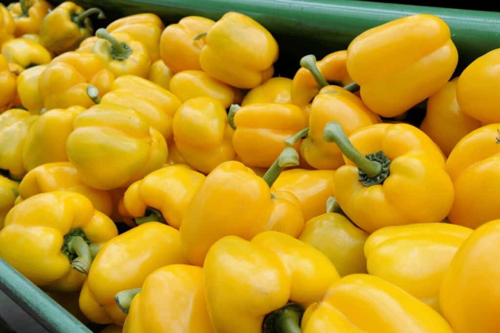 Yellow Peppers