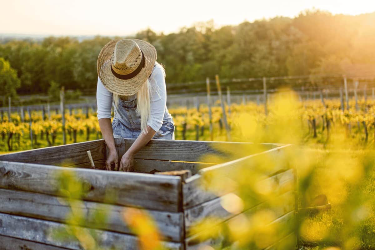 How to Fill Raised Garden Beds for The Perfect Garden