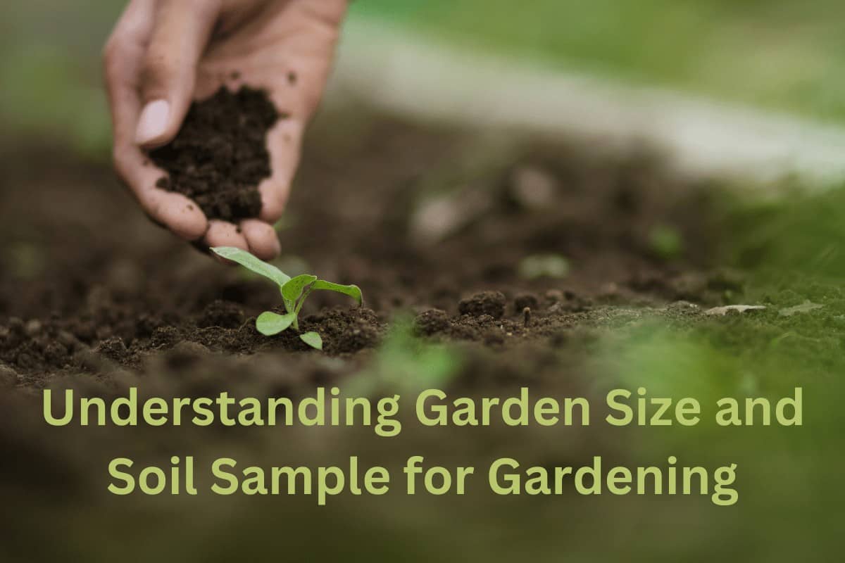 Understanding Garden Size and Soil Sample for Gardening