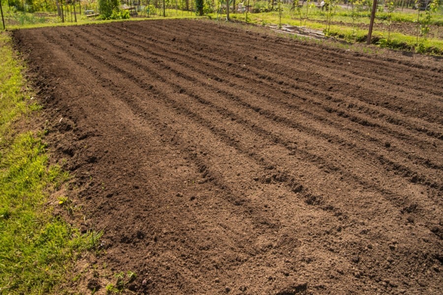 Best Manageable garden size, planting in-ground, raised bed