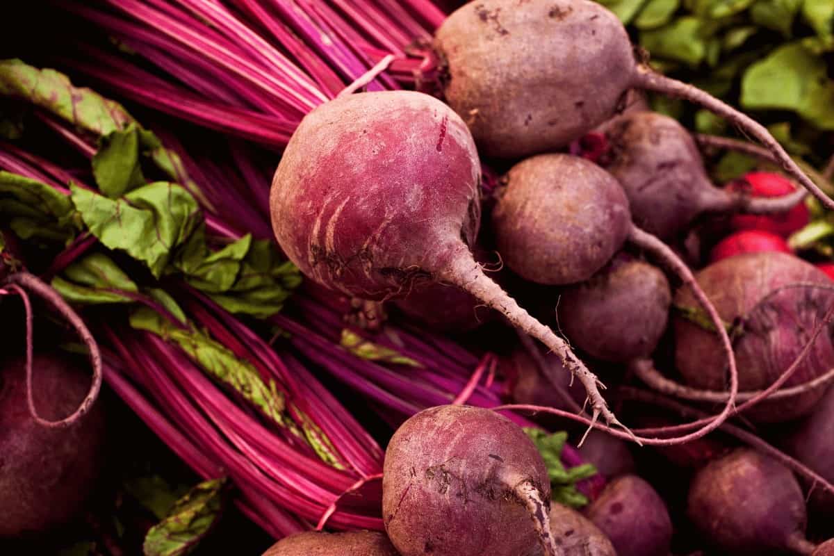 Best 24 Types of Beets: A Comprehensive Guide