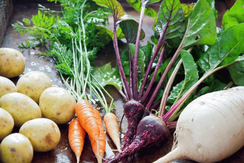 Root Garden Vegetables