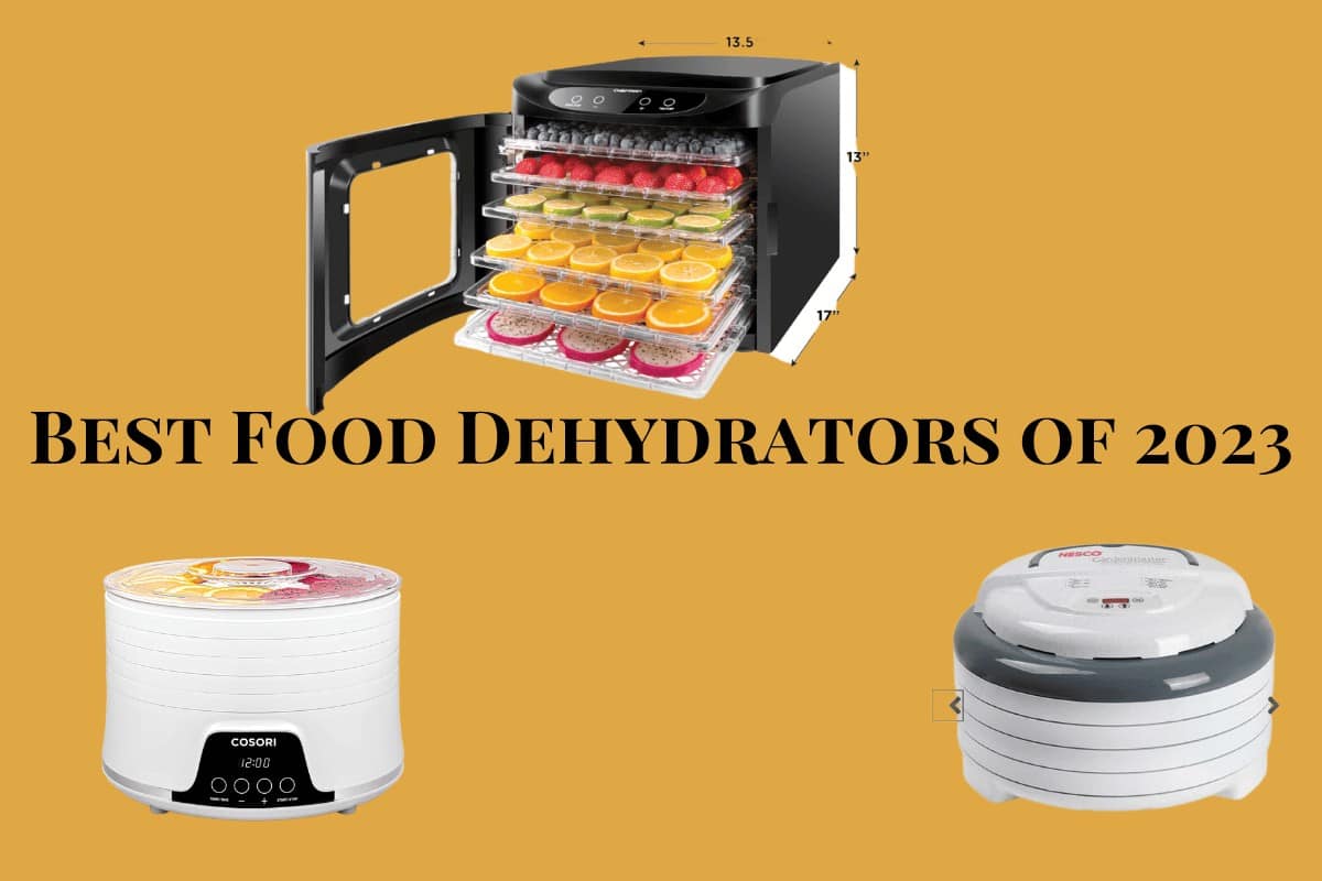 Best Food Dehydrators of 2024 ~ Great Gifts