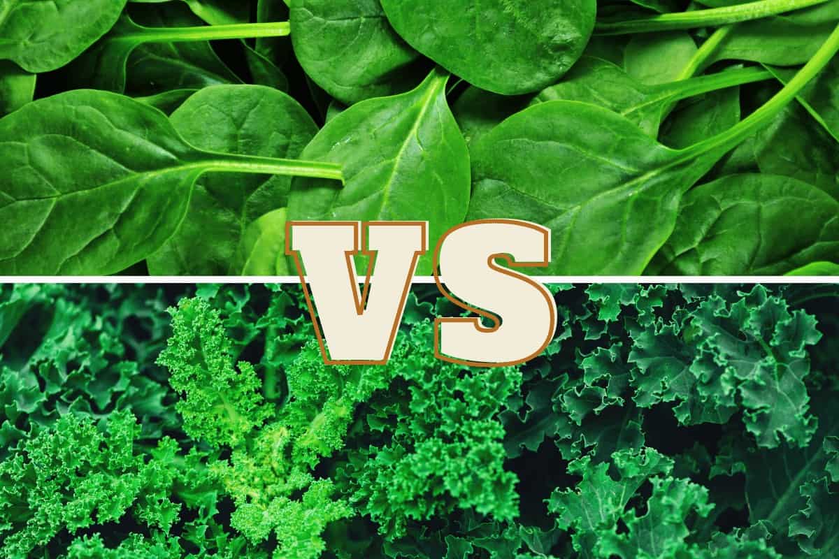 Which is healthier spinach or kale?