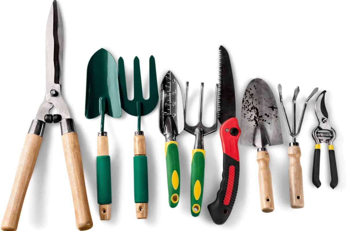 The Best gardening tools