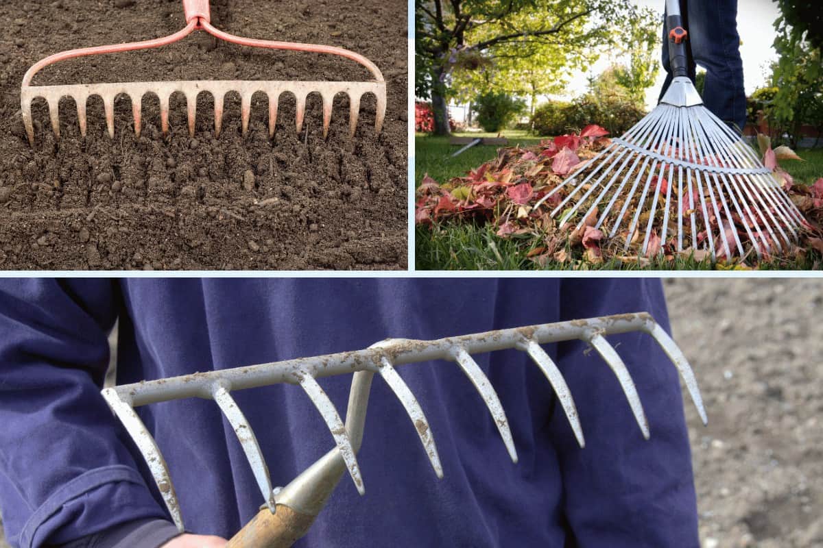 The Best Garden Rake: A Must-Have Tool for Any Gardener's Arsenal