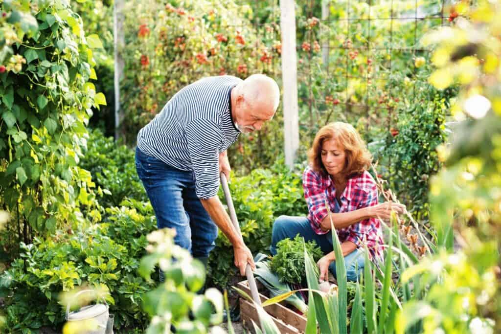 The Best Type of Gardening Hoe