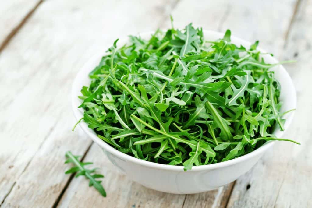 How to Grow Arugula Microgreens