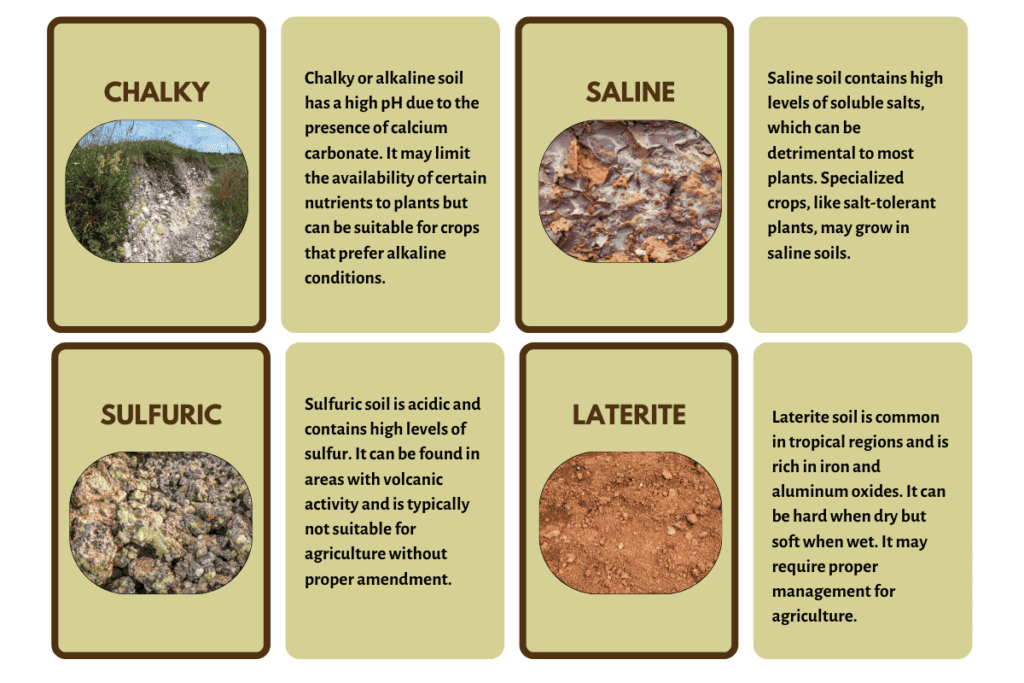 Soil and Flower Compatibility