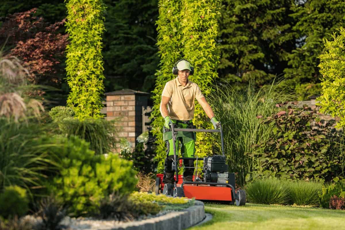 Garden Maintenance Tips