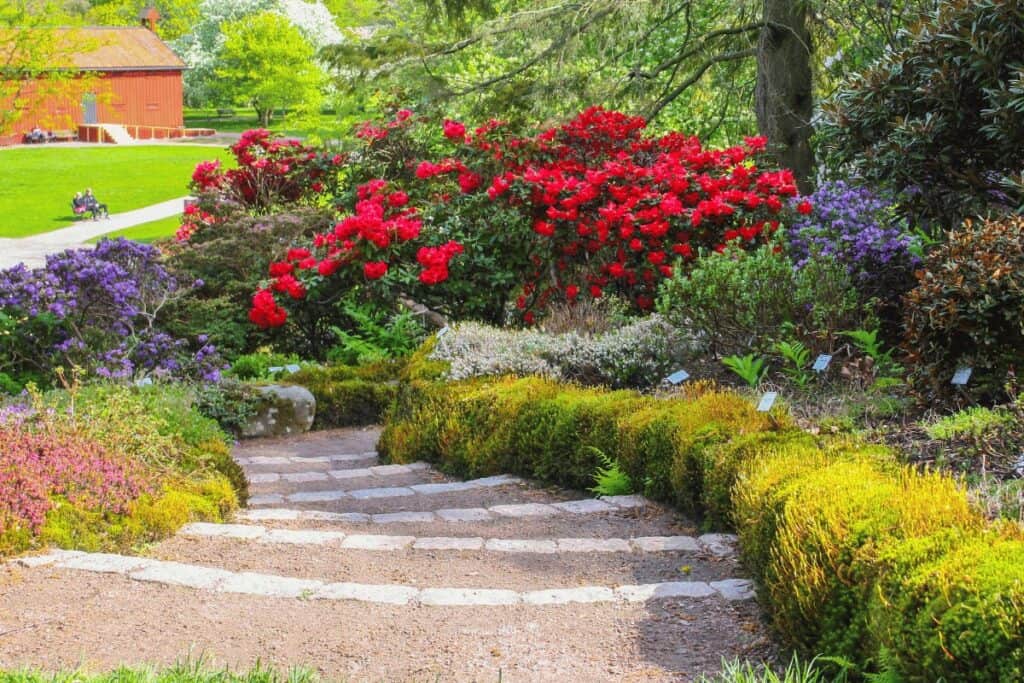 Best Flowers for Garden Borders