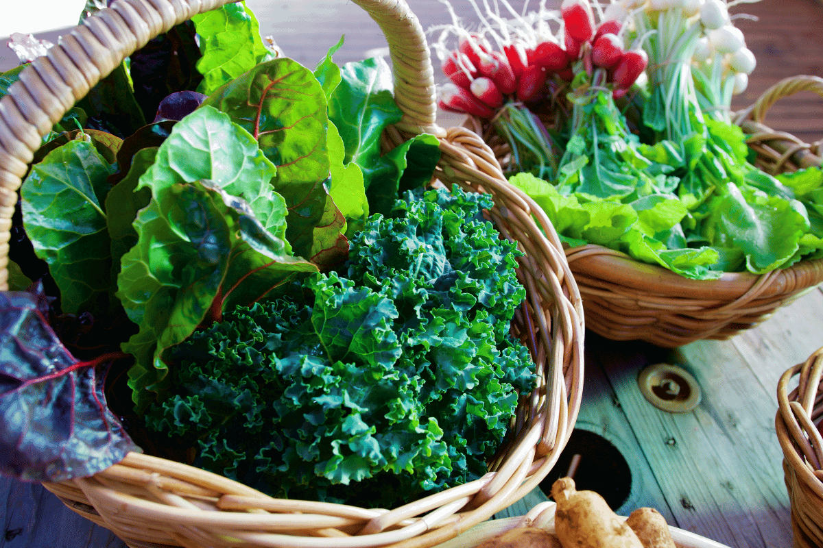 Best Seasonal Leafy Greens