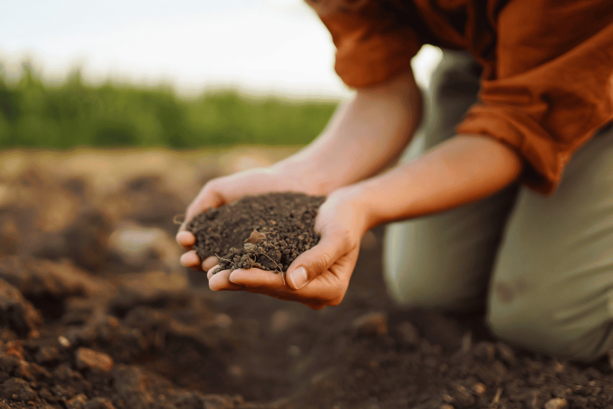 Composting 101: Tips and Tricks