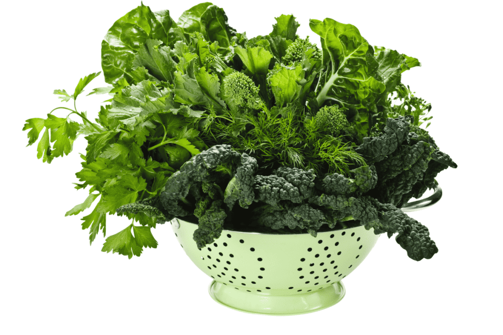 Best Seasonal Leafy Greens