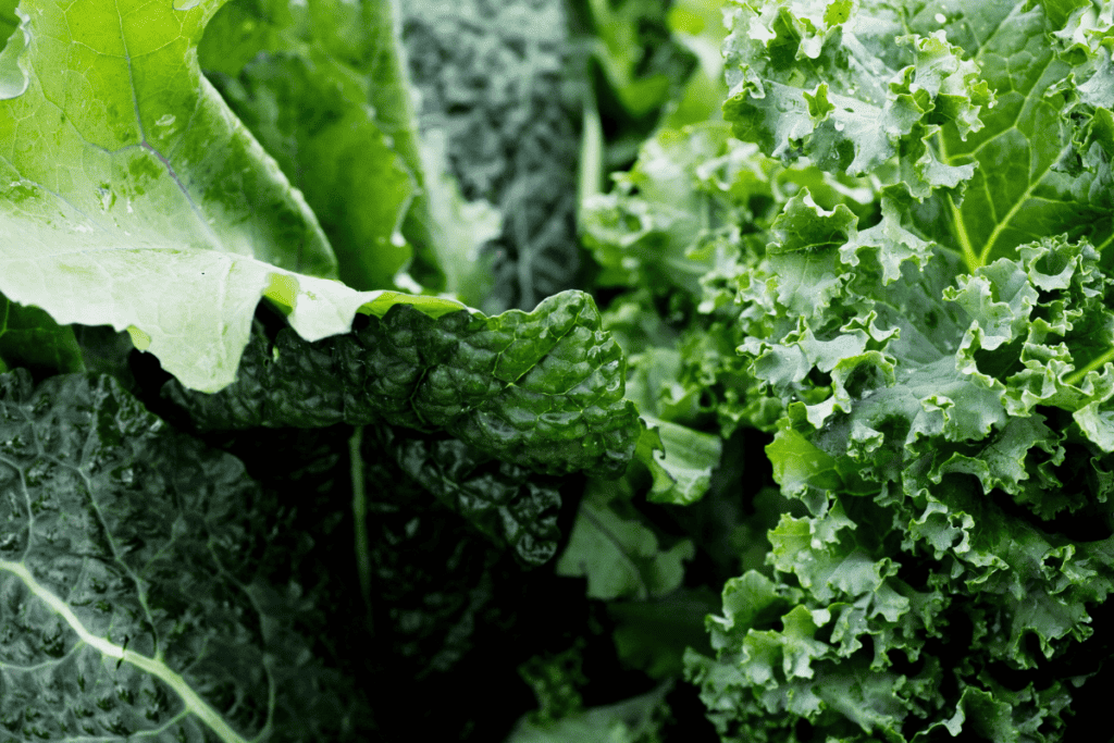 Best Seasonal Leafy Greens