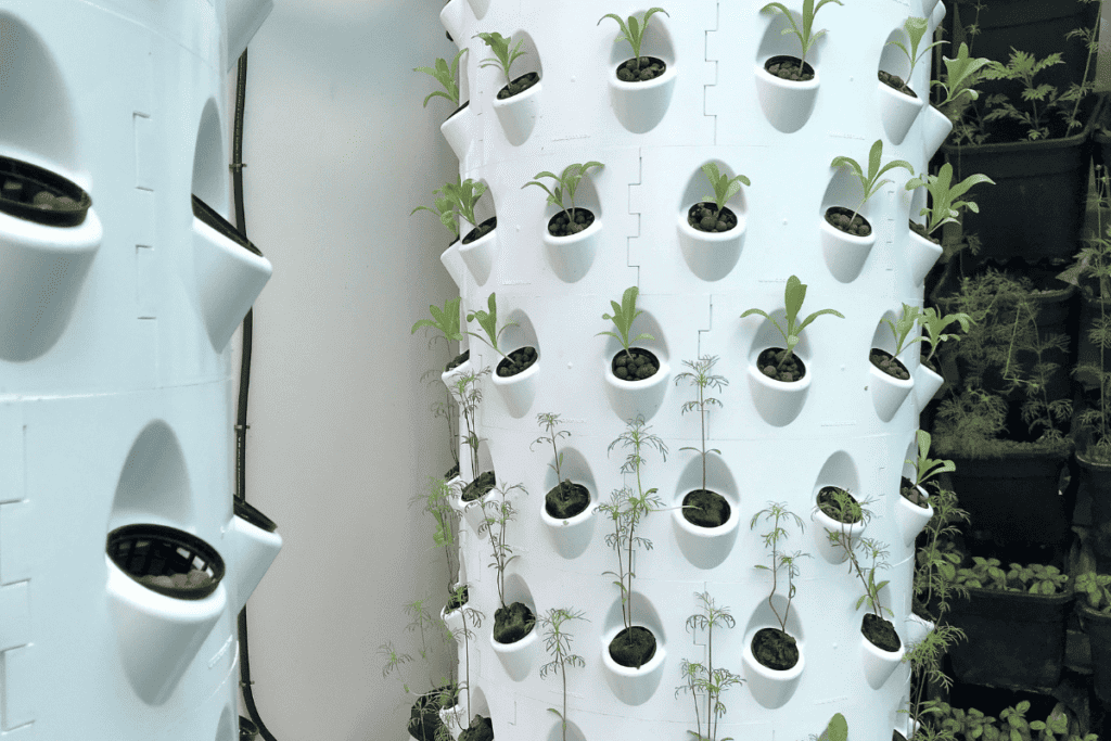 How to Create a Vertical Vegetable Garden