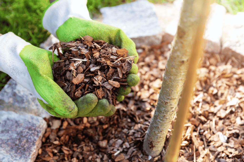 Types of Mulch for Garden Beds: A Comprehensive Guide