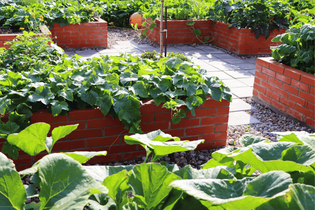 How to Build a Raised Garden Bed