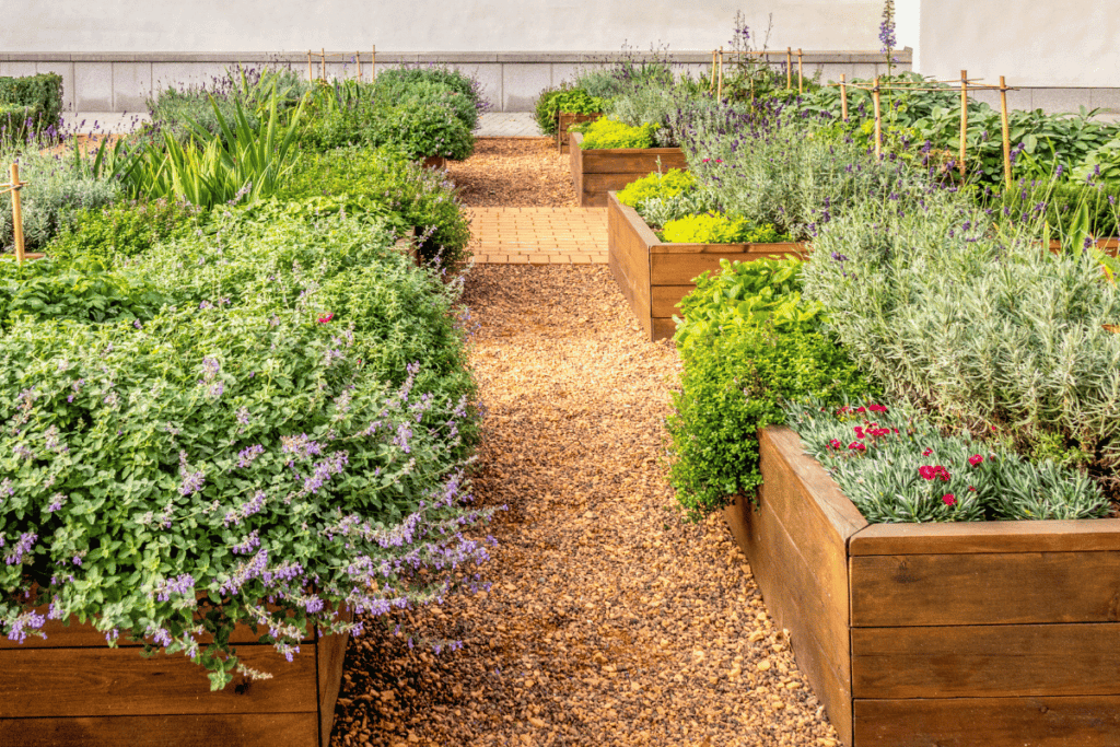 Manageable Garden Size, Planting in the Ground, Raised Bed