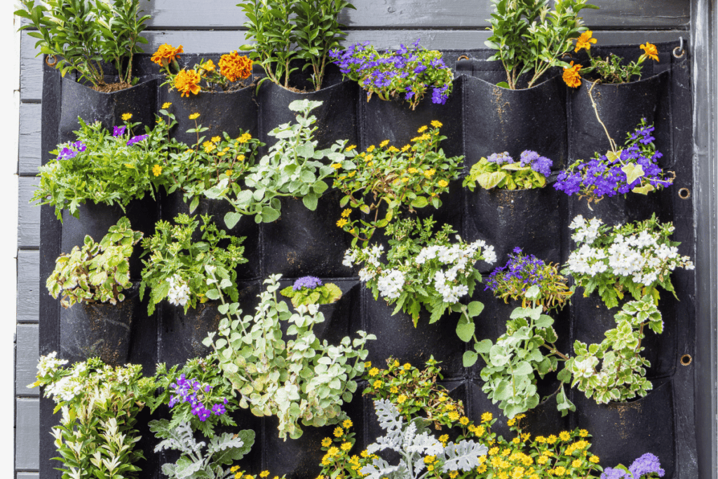 How to Create a Vertical Vegetable Garden