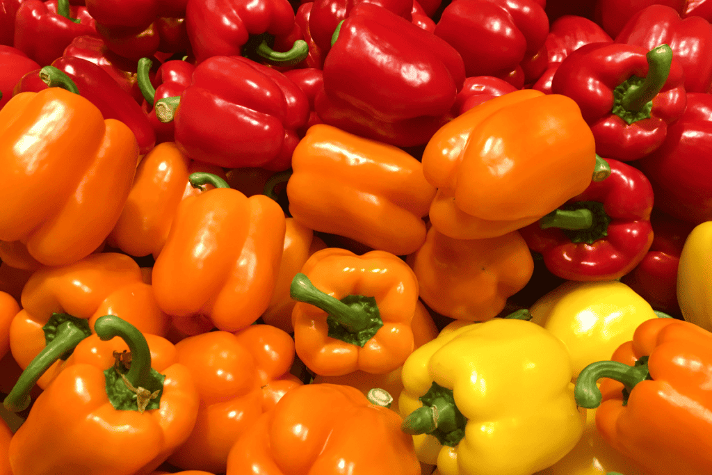 How to Grow Peppers in Your Vegetable Garden