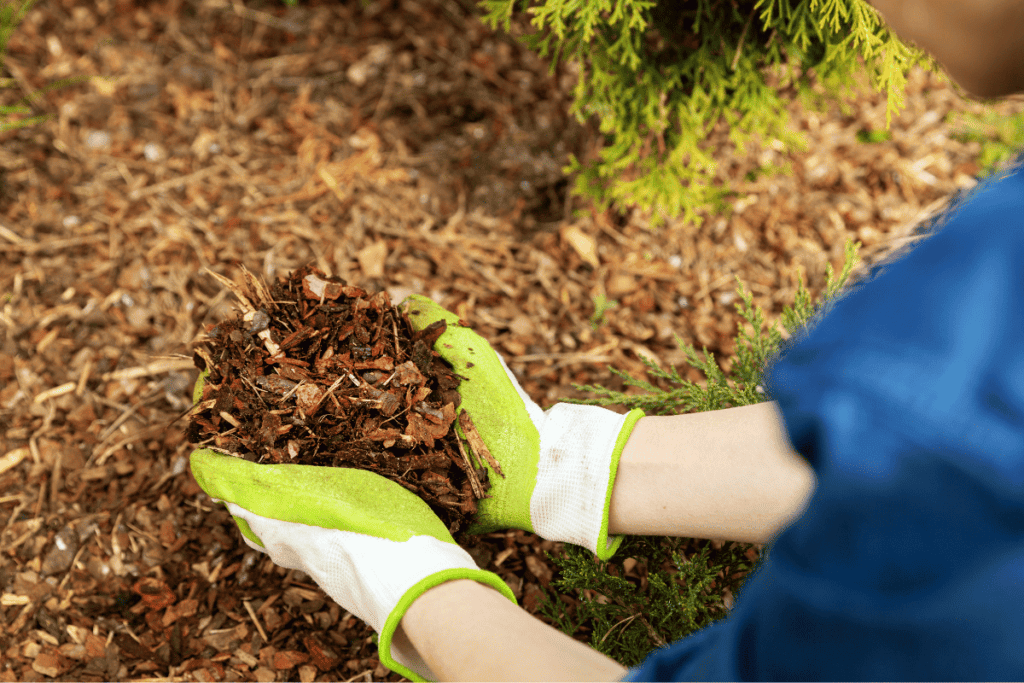 Types of Mulch for Garden Beds: A Comprehensive Guide