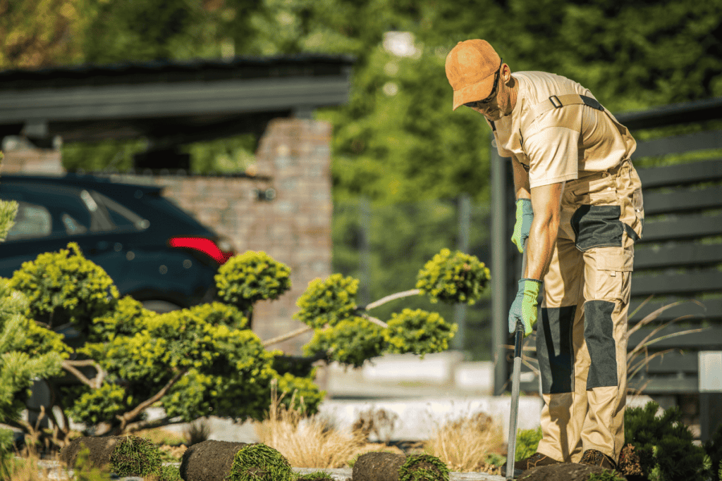 Fall Gardening Tips for a Bountiful Harvest