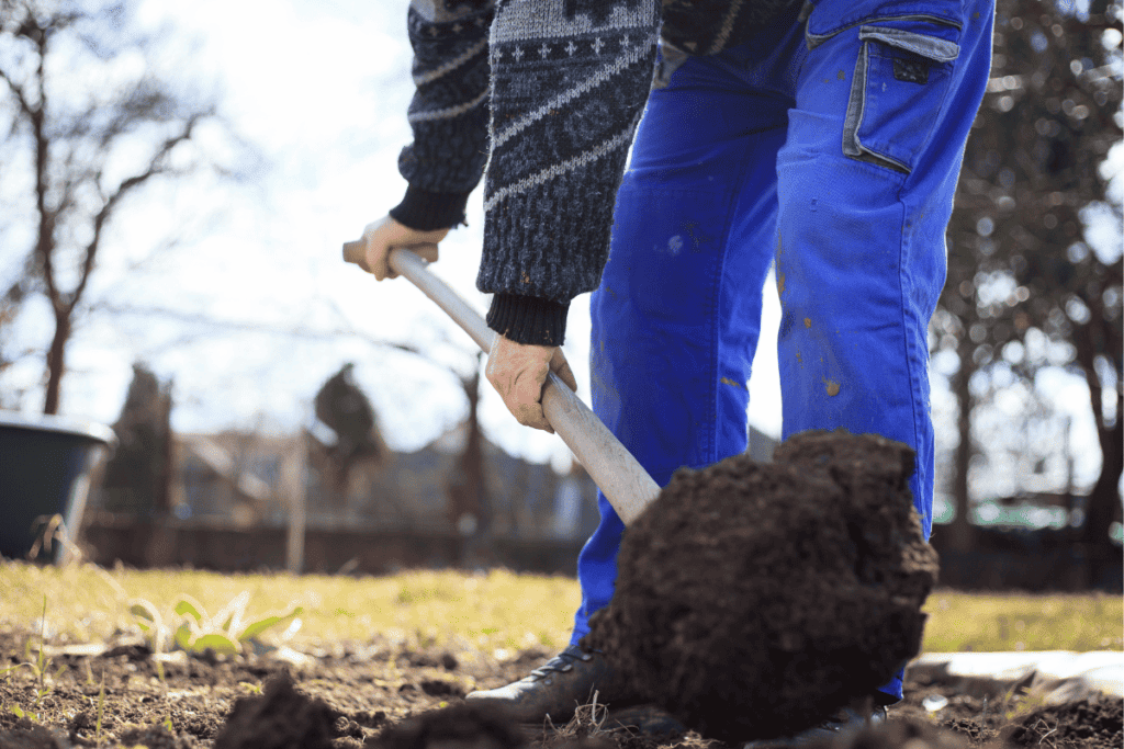 How to Make Your Own Compost