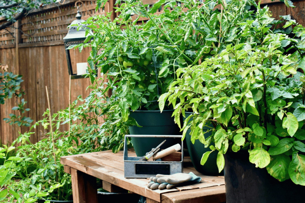 How to build a potting bench