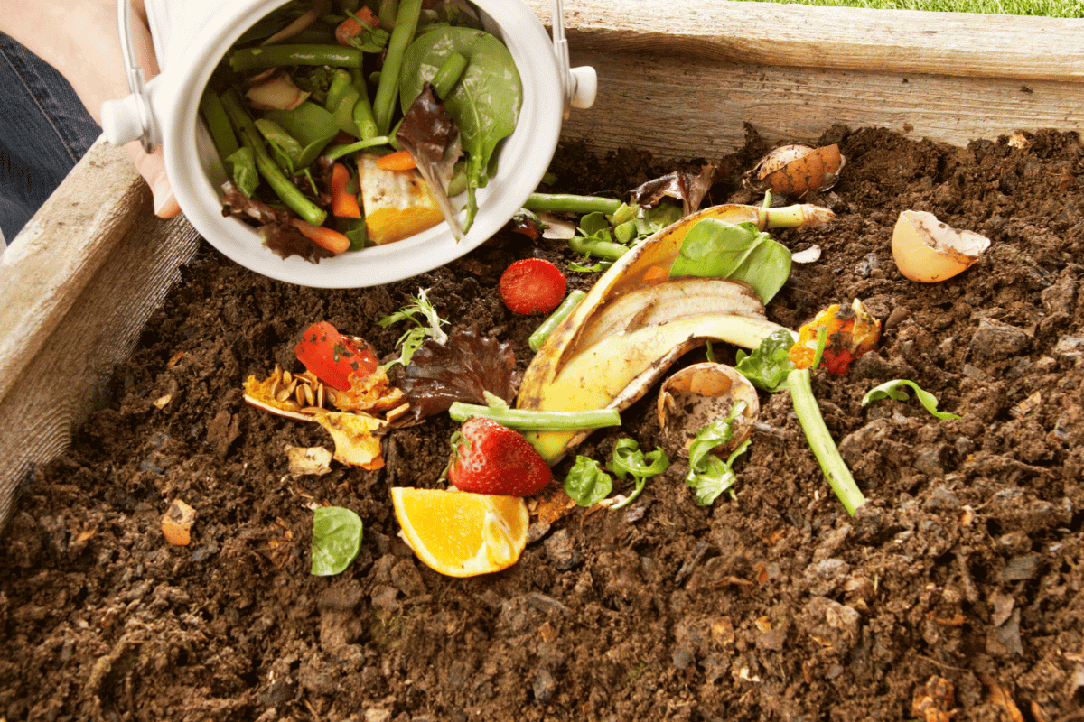 Benefits of Composting