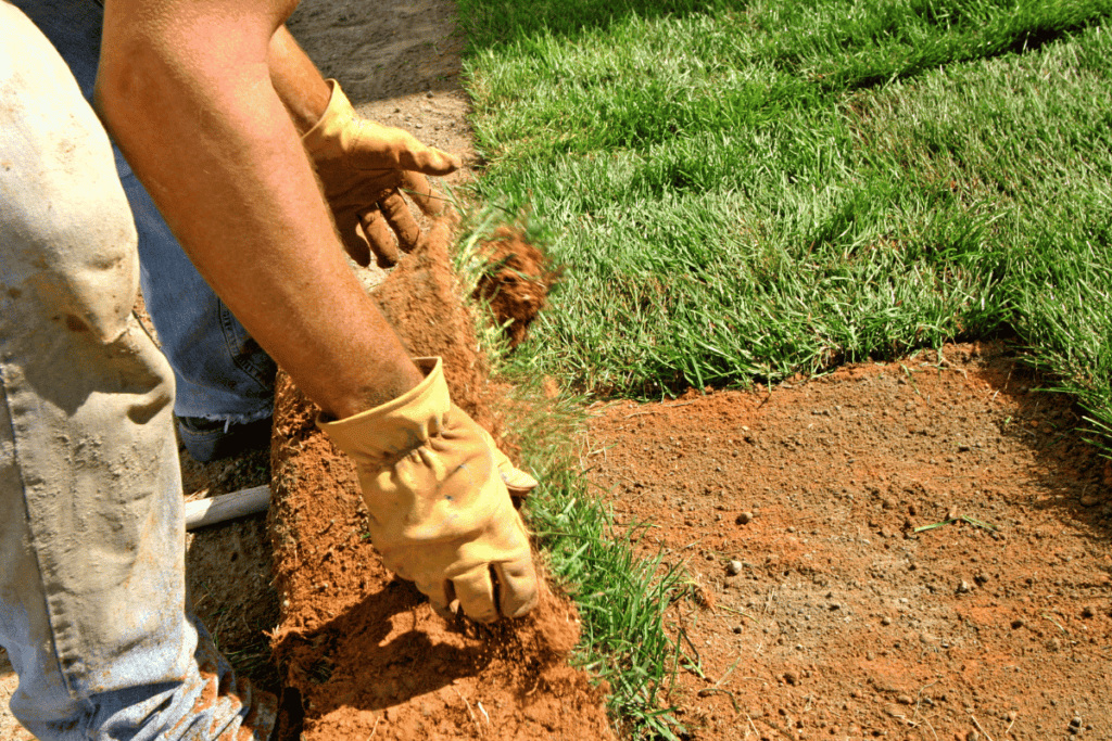 Landscaping