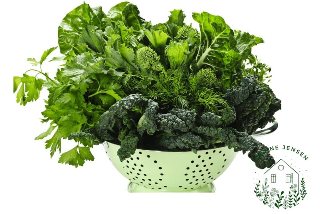 Growing Your Own Leafy Greens