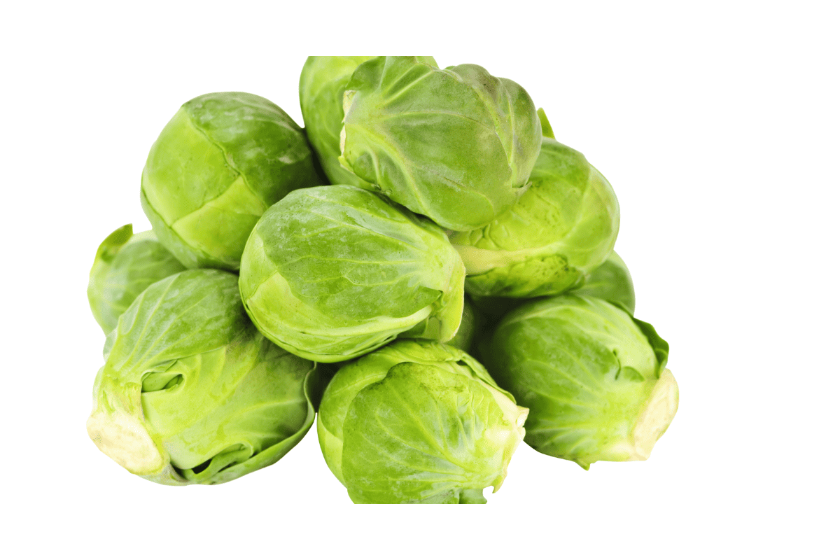 How to Grow Brussels Sprouts from Seed