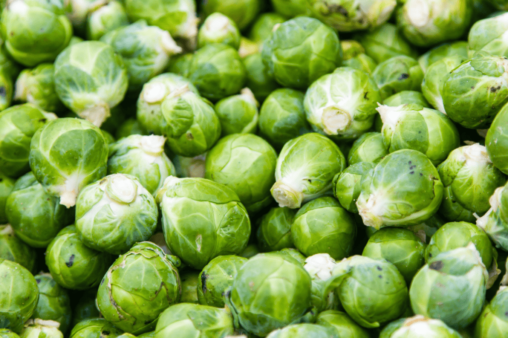 Mastering Brussels Sprouts Cultivation