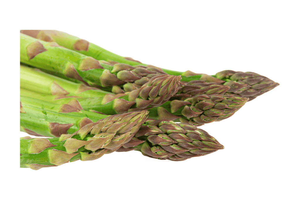 Growing Asparagus from Cuttings