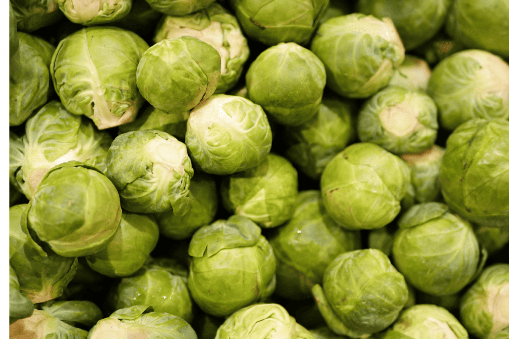 Mastering Brussels Sprouts Cultivation