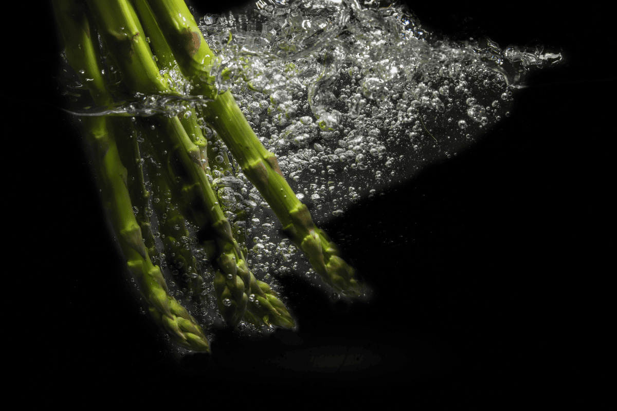 Growing asparagus in water