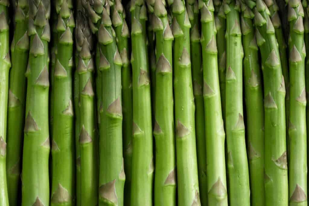 How to Grow Asparagus 