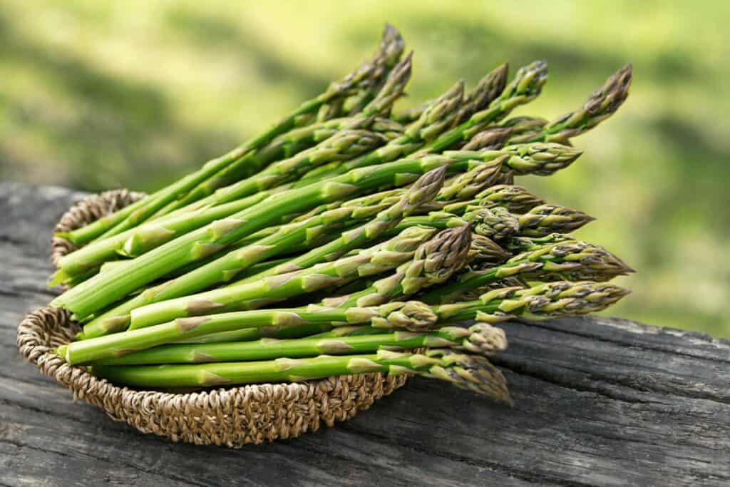 Mastering Asparagus Cultivation