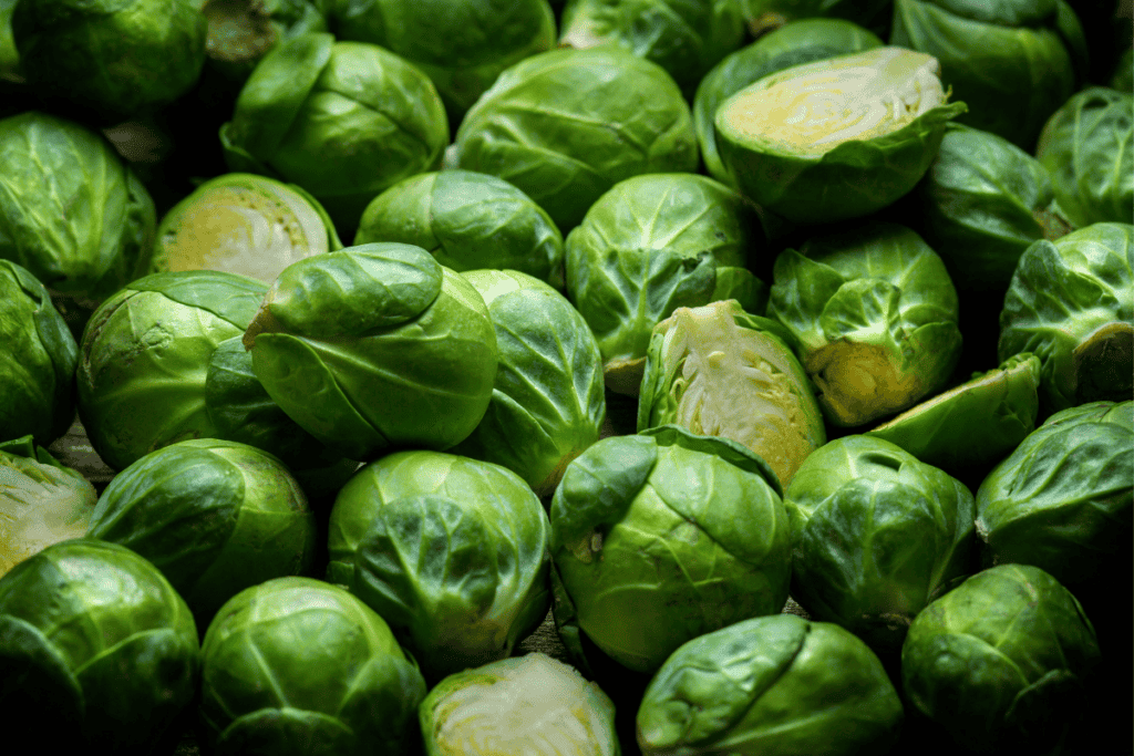 Brussels Sprouts Grow Like Crazy