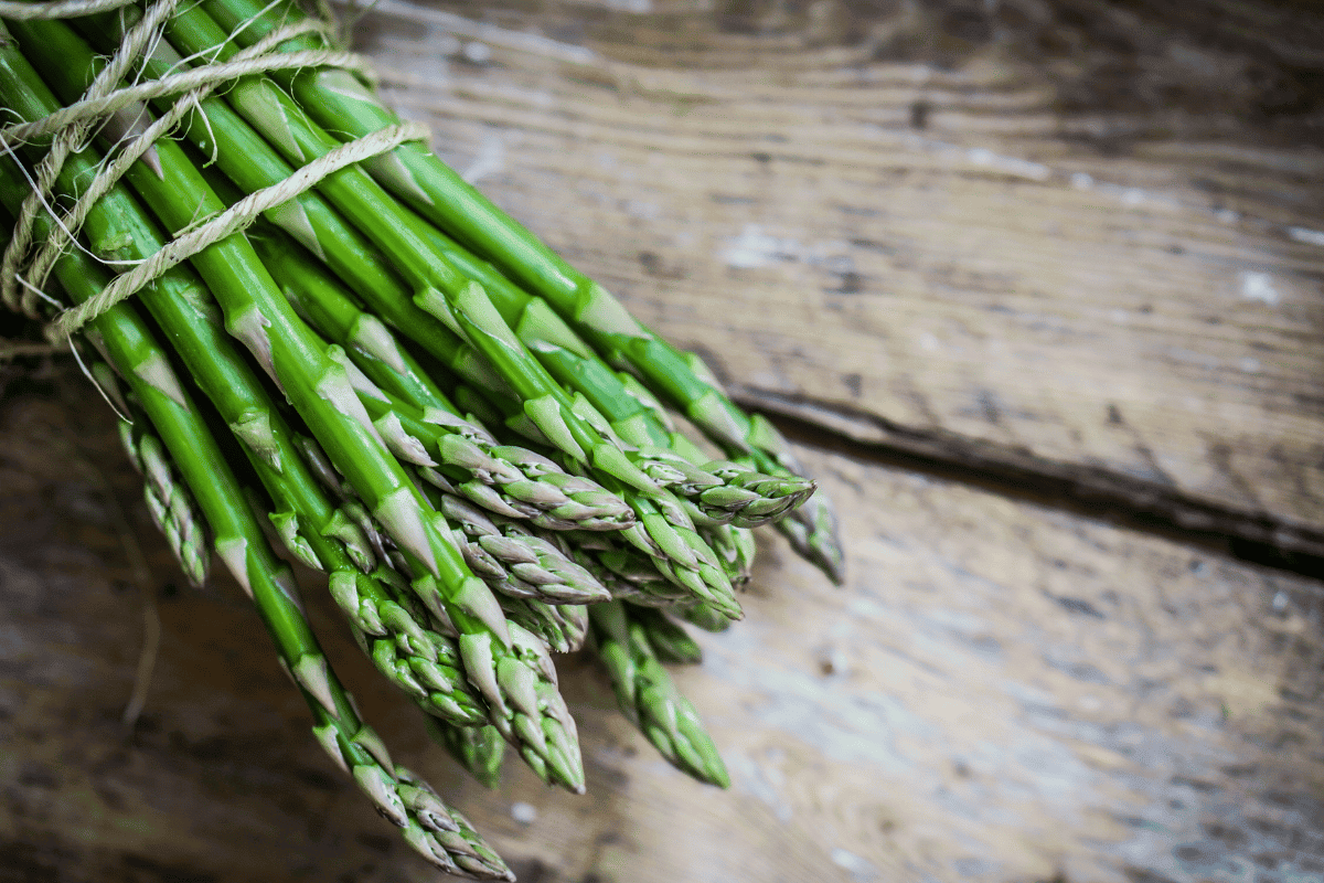 Growing Asparagus from Cuttings