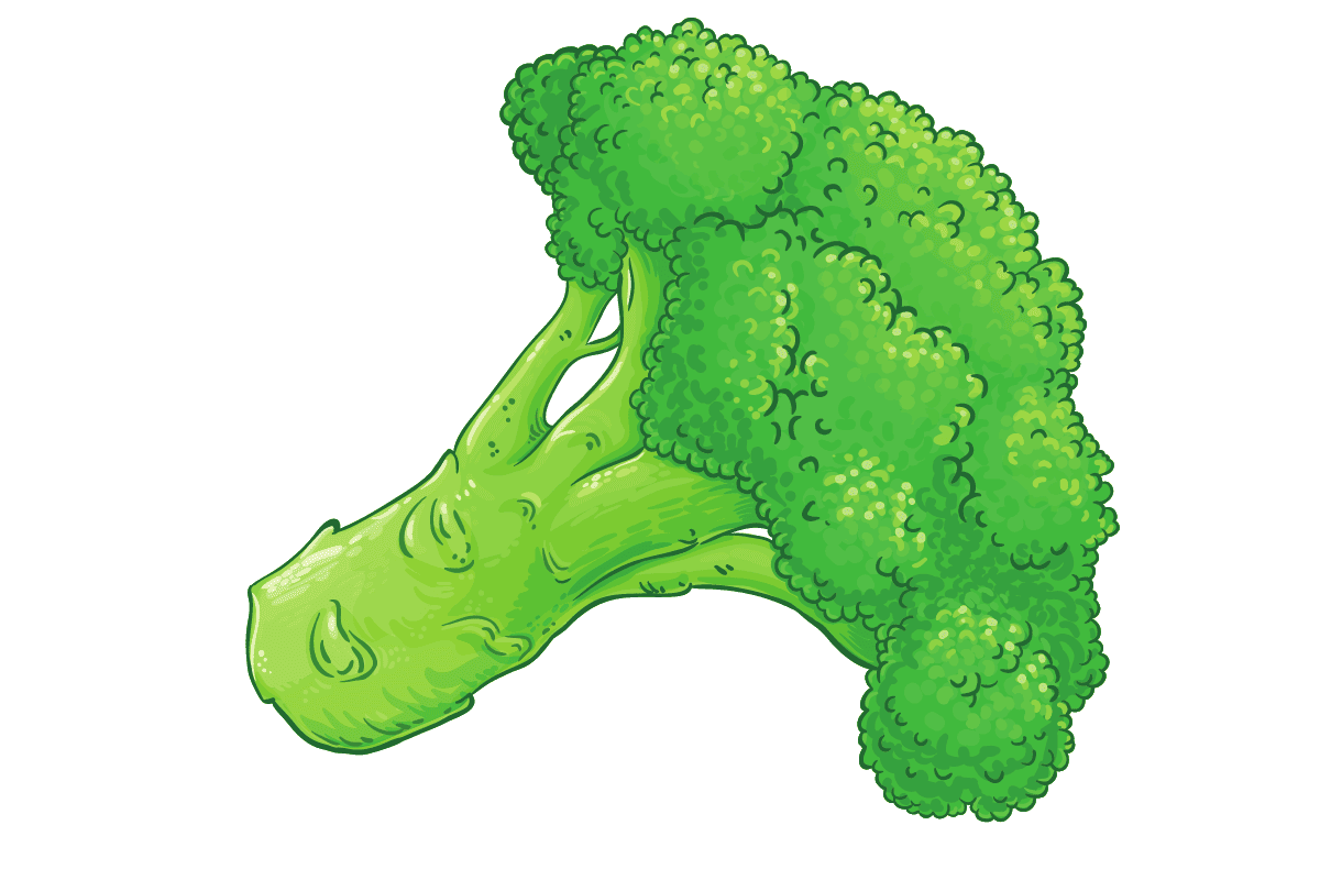 Broccoli