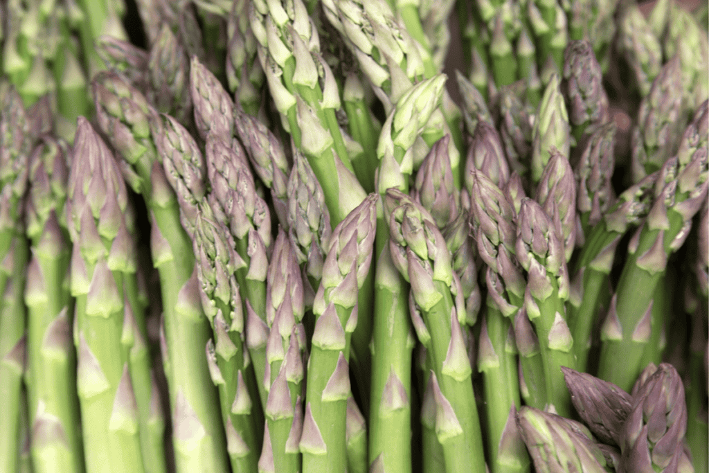 Growing Asparagus in a Container