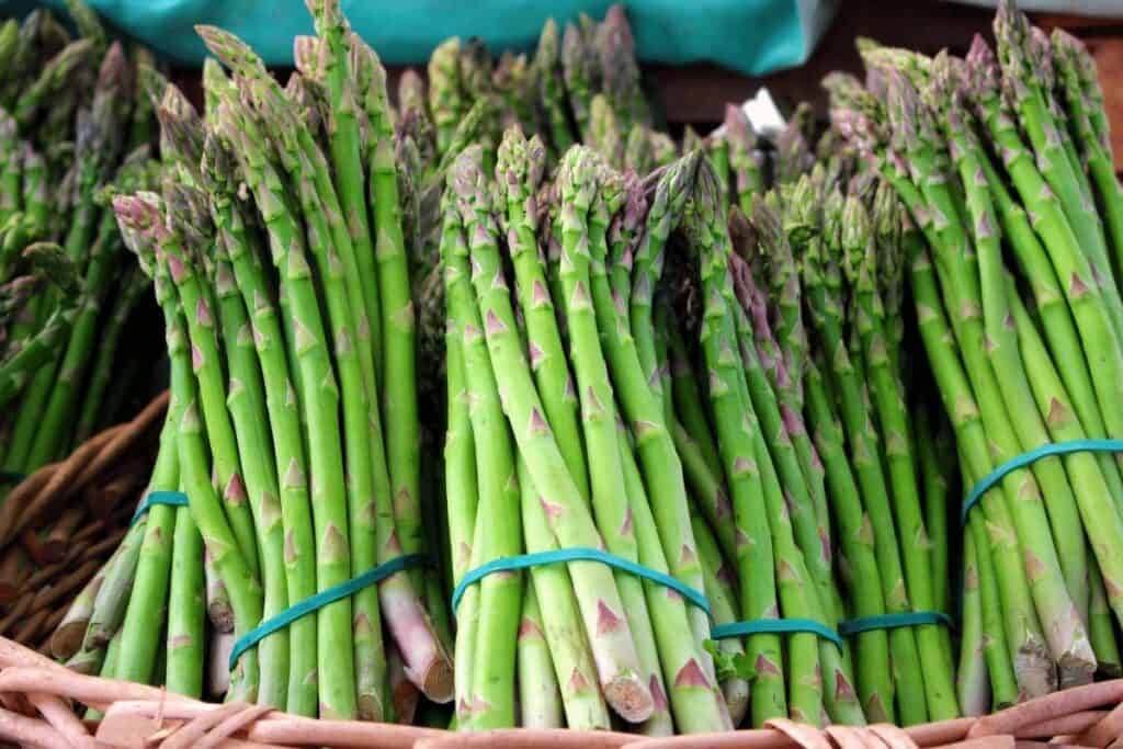 Mastering Asparagus Cultivation